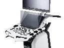20220928-0163 缩.webp